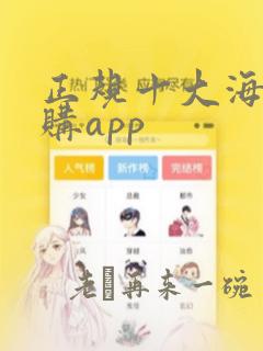 正规十大海外代购app