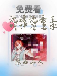 沈遥沈乔玉小说叫什么名字