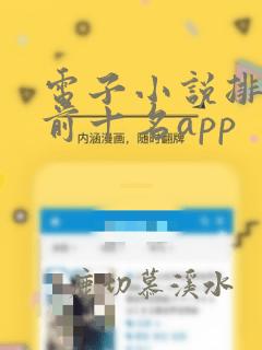 电子小说排行榜前十名app