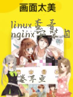 linux查看nginx安装目录