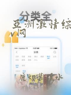 亚洲激情综合av网