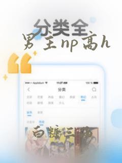 男主np高h