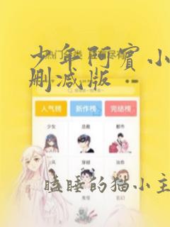 少年阿宾小说无删减版