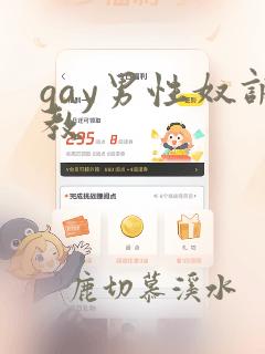 gay男性奴调教