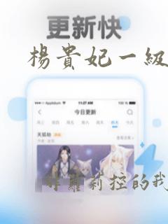 杨贵妃一级淫片