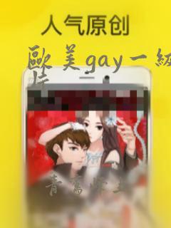 欧美gay一级片