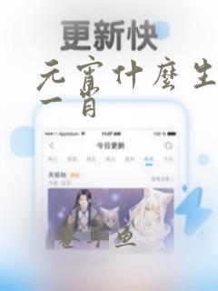 元宵什么生肖打一肖