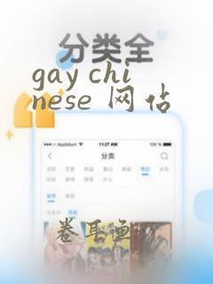 gay chinese 网站