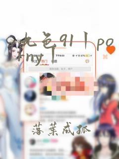 九色91丨porny丨