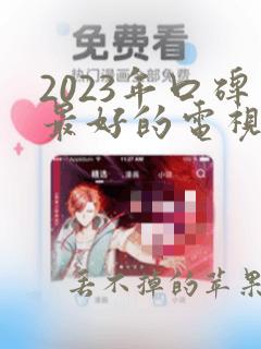 2023年口碑最好的电视剧有哪些