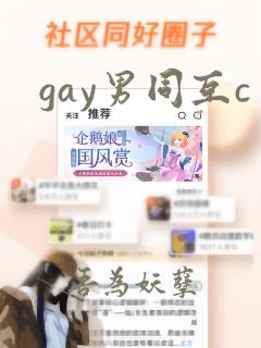 gay男同互c