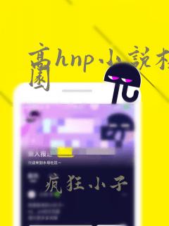 高hnp小说校园