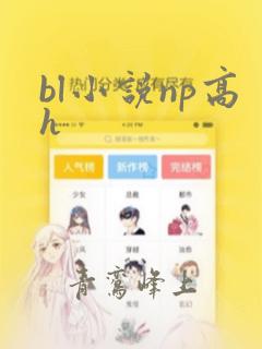 bl小说np高h