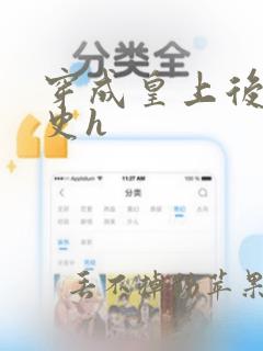 穿成皇上后宫艳史h