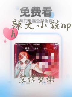 辣文小说np高h