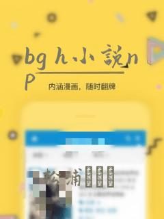 bg h小说np