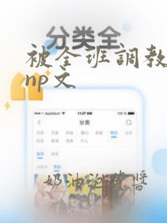 被全班调教的受np文