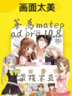 华为matepad pro 10.8