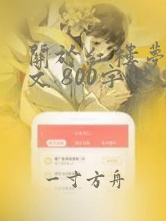 关于红楼梦的征文 800字以上