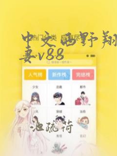 中文西野翔的人妻v88