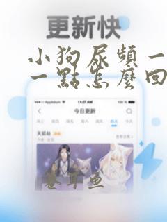 小狗尿频一会尿一点怎么回事