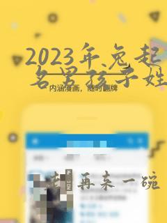 2023年兔起名男孩子姓王