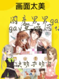 国产男男gaygay互操网站