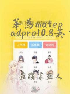 华为matepadpro10.8英寸