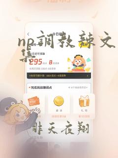 np调教辣文合集