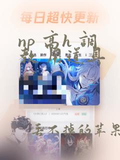 np 高h 调教 用道具