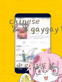 chinese男男gaygay视频网站