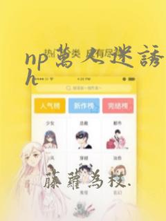 np万人迷诱受h