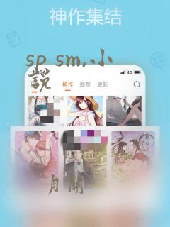 sp sm,小说