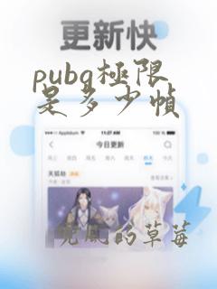 pubg极限 是多少帧