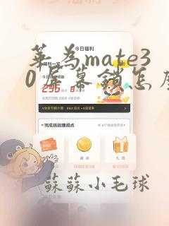 华为mate30屏幕锁怎么解