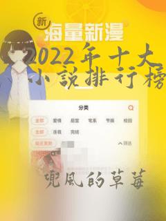 2022年十大小说排行榜