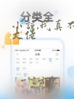 小说,我真不是大佬