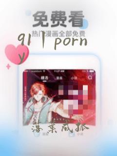 91丨porny