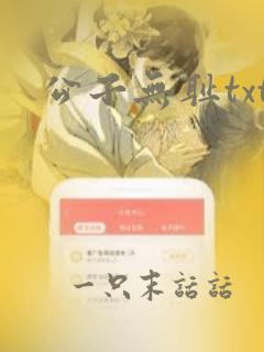 公子无耻txt