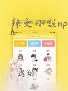 辣文小说np高h