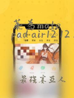 华为mate pad air12 12 256