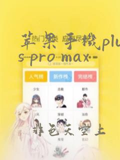 苹果手机plus pro max