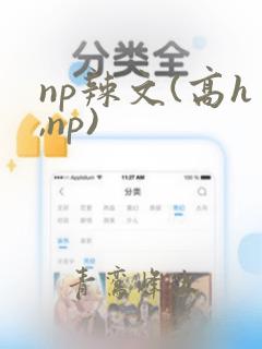 np辣文(高h,np)