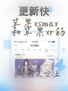 苹果xsmax和苹果xr的区别