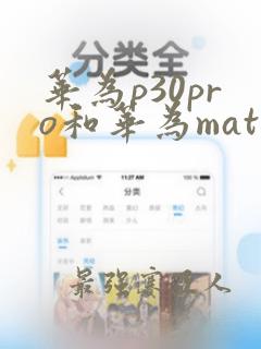 华为p30pro和华为mate30