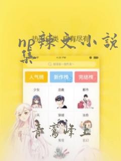 np辣文小说合集