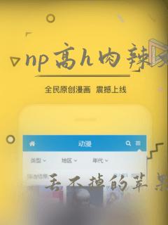 np高h肉辣文