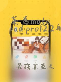 华为mate pad pro12.2哪天出的