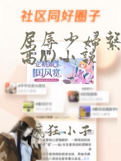 屈辱少妇系列(高h)小说