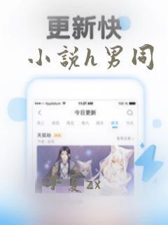 小说h男同